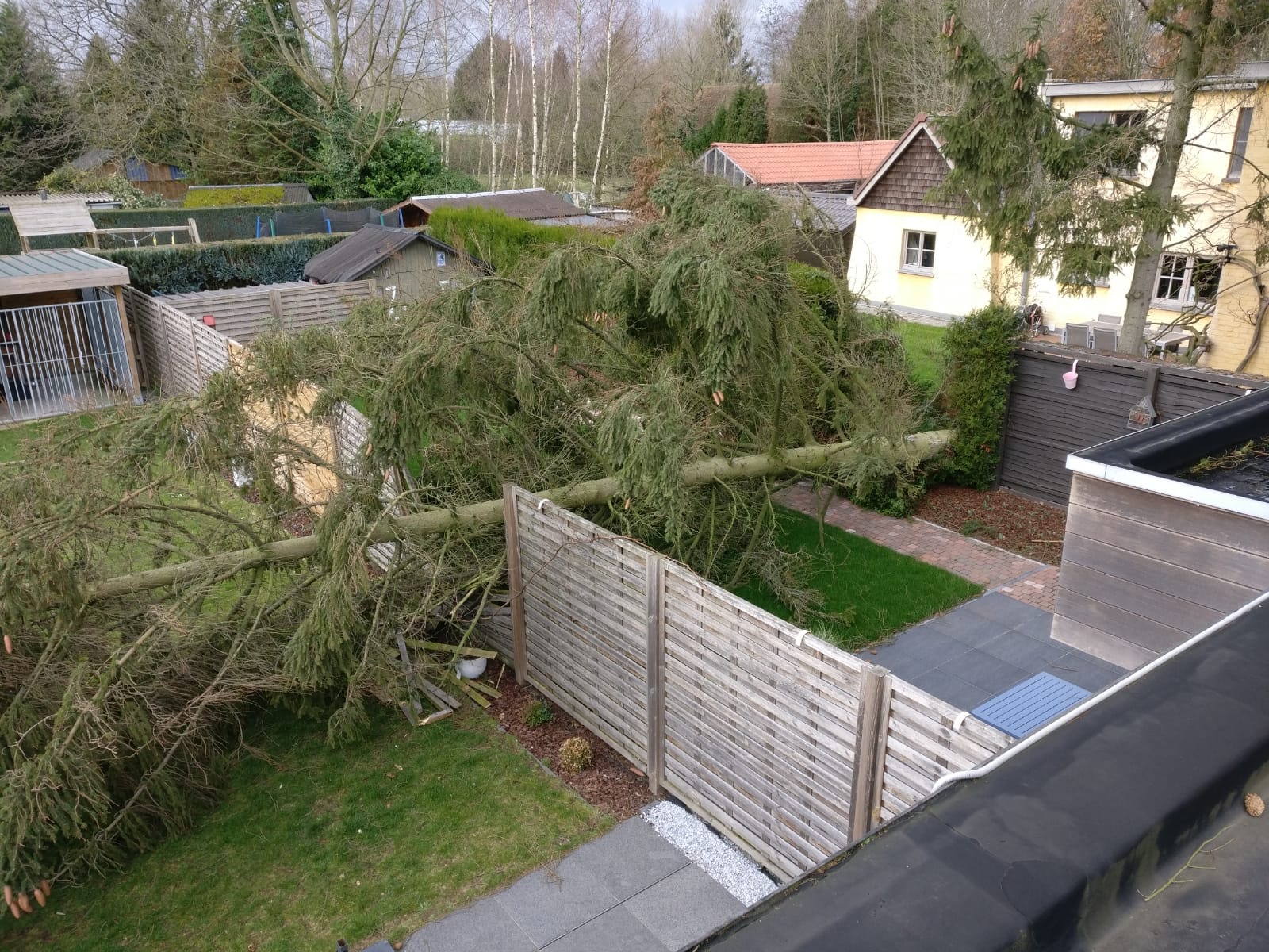 Opruimen omgevallen bomen
