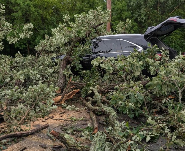 Tuin opruimen na stormschade in Limburg? JSM Ontruiming helpt met het veilig verwijderen en afvoeren van takken, hout en stormafval. Vraag een offerte aan.